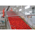 canned fruit filling and sealing packing machine